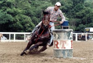 Haras Santo Antônio, o reduto de Castanho Red