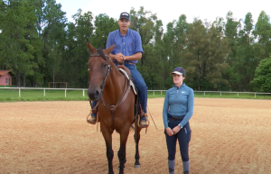Cavaleiro experiente também faz aula de equitação
