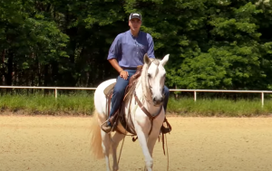Como aquecer seu cavalo pensando no objetivo da sessão de trabalho