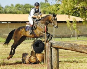 Raça Anglo-Árabe mostra forte aptidão para alto rendimento em Concurso Completo de Equitação