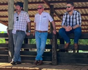 Em Mariápolis, sertanejo Zé Neto fecha negócio em haras para criação de cavalos Quarto de Milha