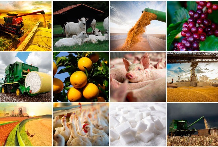 Agronegócio em 2025: Desafios e Oportunidades para o Setor
