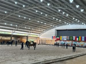 Tatuí (SP) sedia primeiro grande evento oficial do Cavalo Árabe de 2025 com premiação de R$ 250 mil