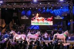 Com Nelore e Mangalarga, 10° Leilão Tarlim bate recordes e fatura mais de R$ 31 milhões