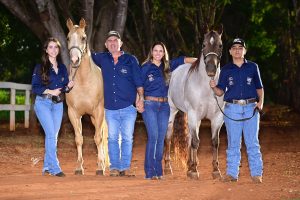 1º Leilão Haras João & Maria irá movimentar o mercado do cavalo Quarto de Milha em Mato Grosso do Sul