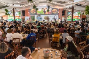 1º Leilão Haras João & Maria bate recorde no Mato Grosso do Sul e fatura mais de R$ 6 milhões