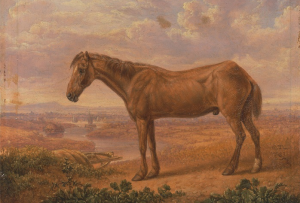 O que Old Billy, Sugar Puff e Badger tem em comum?