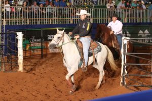 Novidades nas provas de Ranch Sorting e Team Penning para o 34º Congresso Brasileiro do Quarto de Milha