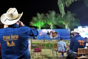 3º Leilão Live Prime Horse Intimate reúne elite genética do Quarto de Milha em Araçatuba