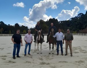 Campos do Jordão recebe Exposição Estadual Mangalarga e retorna ao calendário de provas equestres