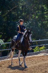 Exposição Estadual Mangalarga valoriza novas gerações e leva cavaleiros e amazonas mirins ao picadeiro em Campos do Jordão