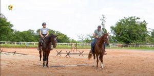 TV UC: Cavalo desaprende?
