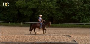 TV UC: O exercício do quadrado