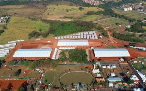 Araçatuba se prepara para o 34º Congresso Brasileiro do Quarto de Milha